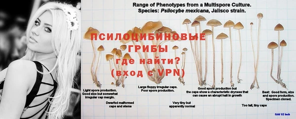 герыч Богданович